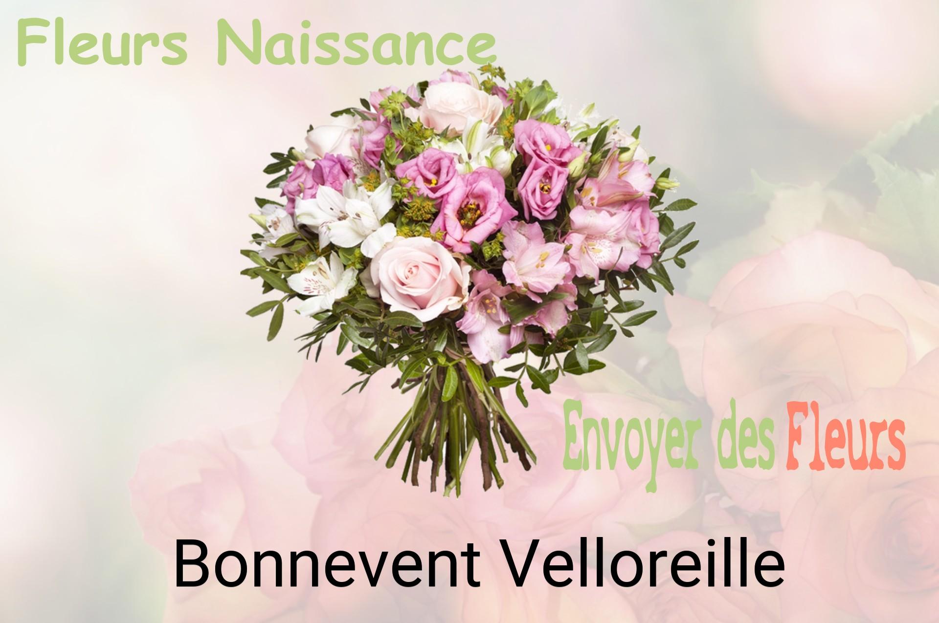 Bouquet de fleurs de naissance livré à Bonnevent-Velloreille